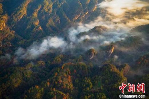 春天里,福建武夷山国家公园常常笼罩在迷蒙烟雨中,呈现"雾锁山头山锁